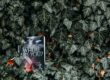 Booklet wedged in a tree