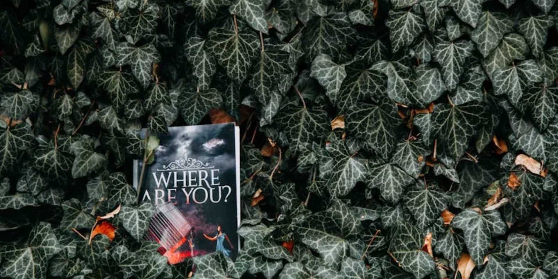 Booklet wedged in a tree