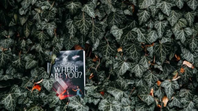 Booklet wedged in a tree