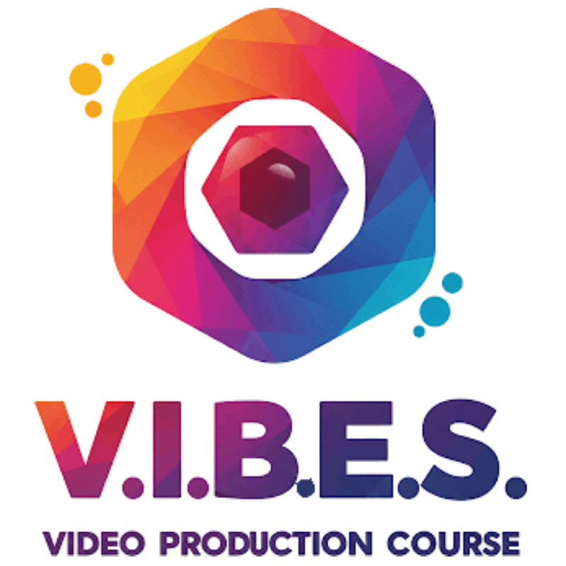 VIBES Video Production Training Logo